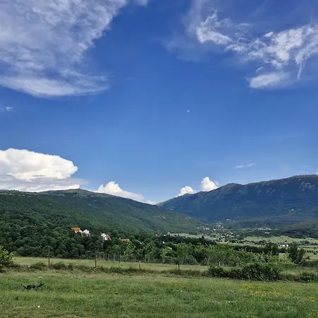 Duvnjak & House